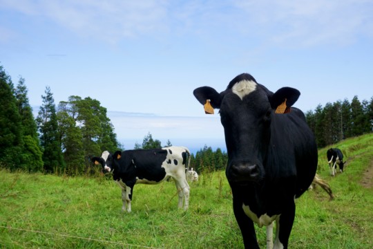 Parasitologie: quoi de neuf? Présentation du projet PARVET