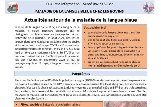Feuillet d’information – Santé Bovins Suisse