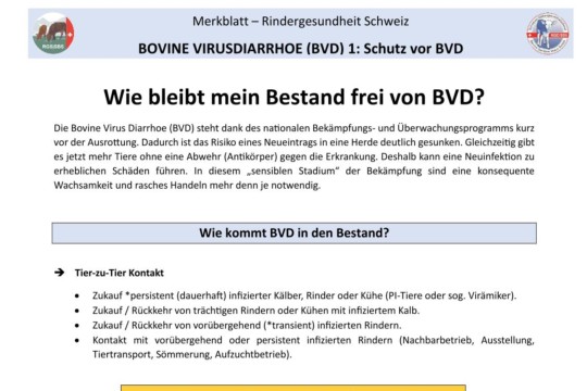 Merkblatt BVD - 1. Schutz vor BVD