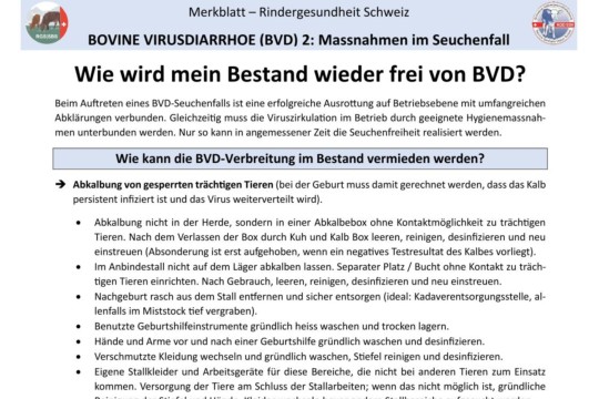 Merkblatt BVD - 2. Massnahmen im Seuchenfall