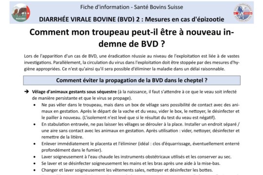 Fiche BVD - 2.Mesures en cas d'épizootie