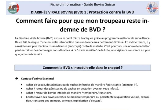 Fiche BVD - 1. Protection contre la BVD