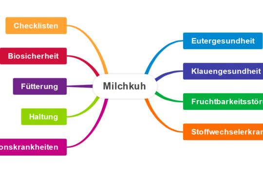 Hier finden Sie alles zum Thema Milchvieh