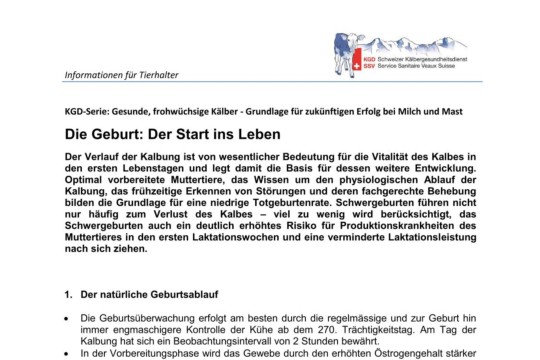 Geburt - der Start ins Leben