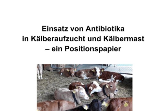 Positionspapier Antibiotikaeinsatz (vollständig)