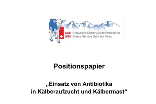 Positionspapier Antibiotikaeinsatz (Kurzversion)