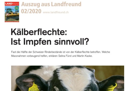 Impfen gegen Kälberflechte (Artikel Landfreund 02-2020)