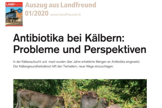 Antibiotika bei Kälbern (Artikel Landfreund 01-2020)