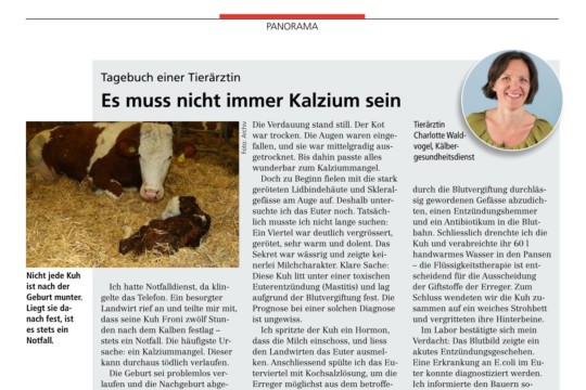 Festliegen - es muss nicht immer Kalzium sein (Artikel Landfreund 08-2018)