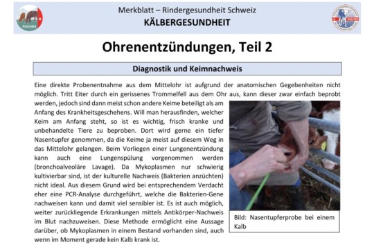 Ohrenentzündung (Otitis) Teil 2