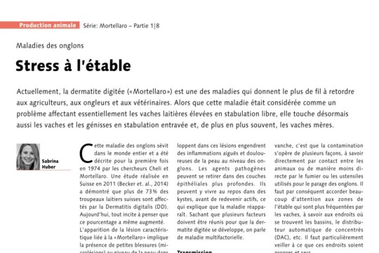 UFA-Revue série sur la Mortellaro