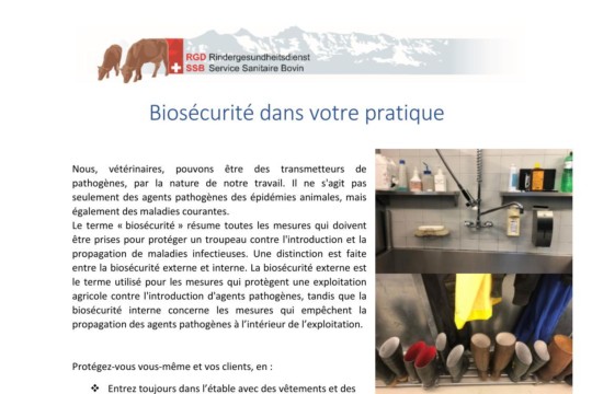 Info sur la biosécurité dans la pratique