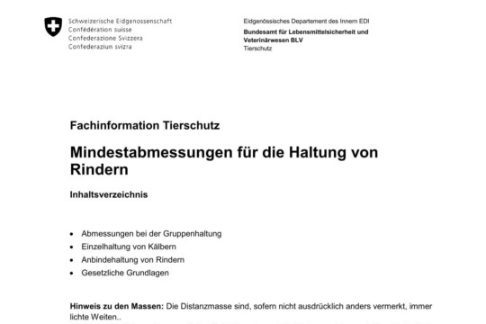 Mindestabmessungen für die Rinderhaltung (Fachinfo Tierschutz)