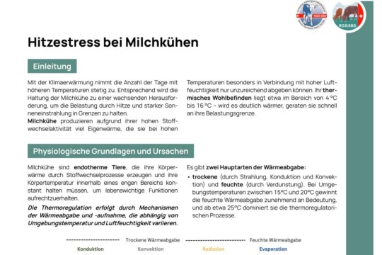 RGS-Merkblatt Hitzestress
