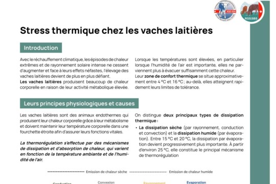 Fiche d'information SBS stress thermique