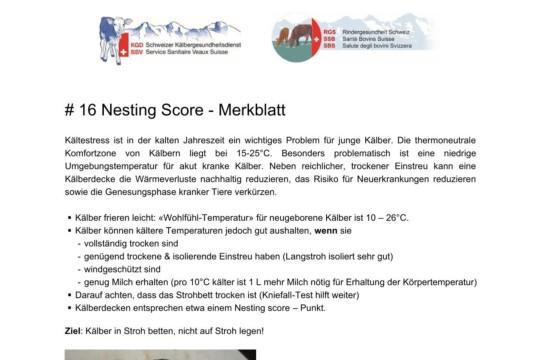 Merkblatt Nesting Score