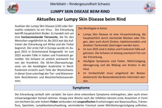 RGS – Infoblatt – LSD