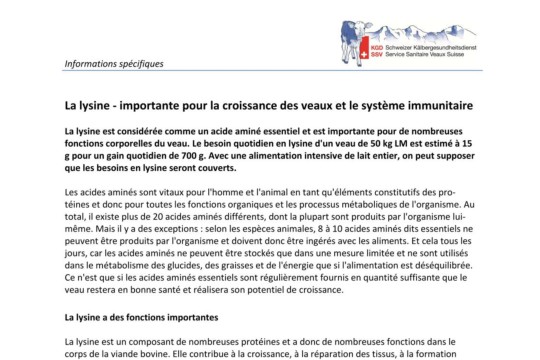 La lysine - fiche d'info