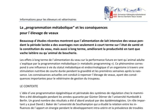 La programmation métabolique