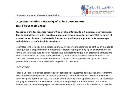 La programmation métabolique