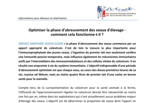 Optimiser la phase d'abreuvement des veaux d'élevage